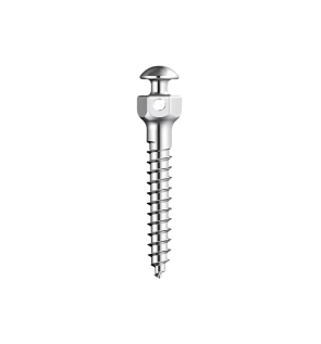 MINI SCREWS