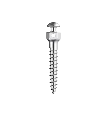 MINI SCREWS
